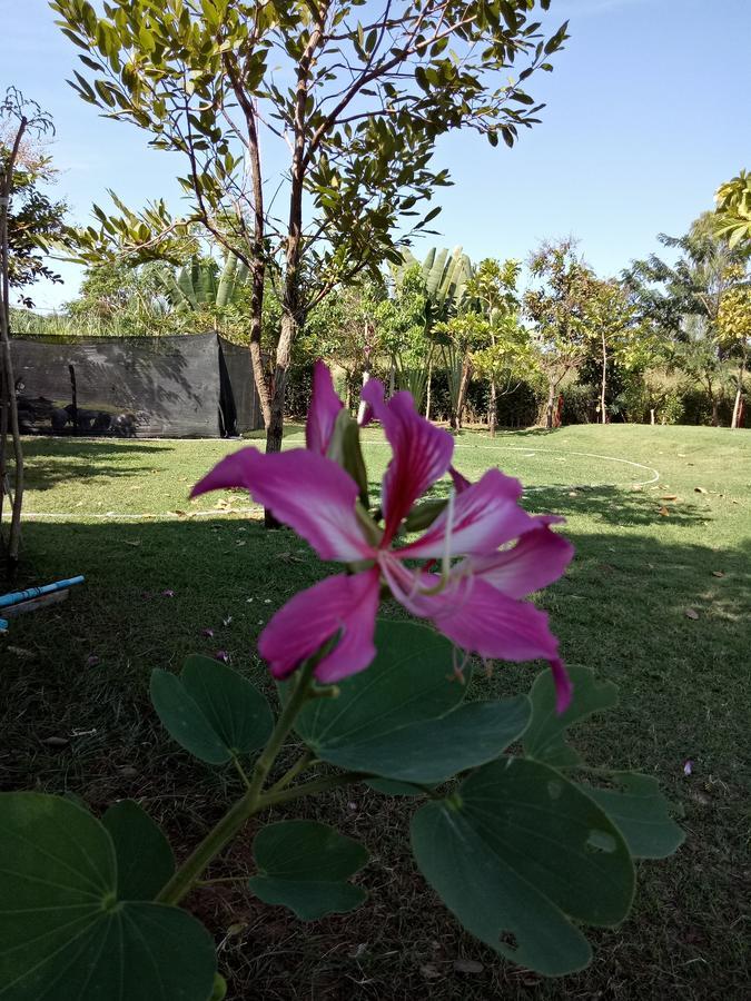 เคียงเลิงรีสอร์ท Ban Nong Bua Thong ภายนอก รูปภาพ